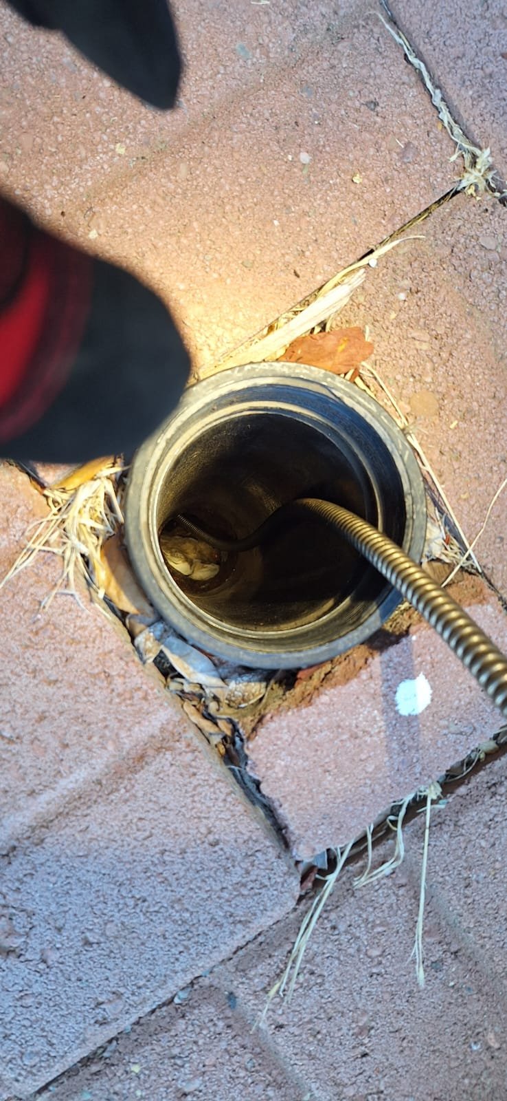 Alejandro's Plumbing (38)